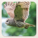 Search for flight coasters Animal