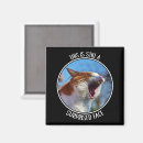 Search for surprised magnets Animal
