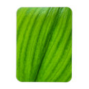 Search for white lily flower rectangular magnets Plant