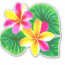 Search for pink plumeria stickers Aloha