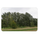 Search for tree branches magnets Woodland