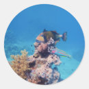 Search for underwater photography stickers Marine life