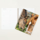 Search for cutest office supplies Cute baby animals
