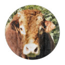 Search for cattle chopping boards Bull