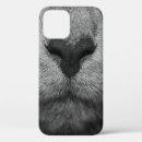 Search for white cat cases Wildlife