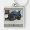 Search for black pugs key rings Puppy
