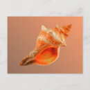 Search for fox postcards Sea