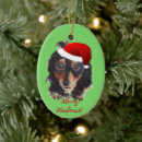 Search for dachshund christmas decor Daschund