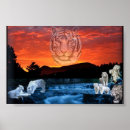 Search for white tiger posters Nature