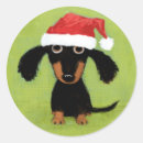 Search for dachsund stickers Dachshund