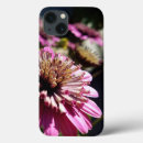 Search for african daisy flower electronics Flowers