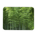 Search for bamboo magnets Japan