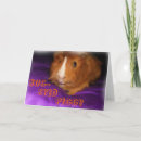 Search for guinea pig cards Humour