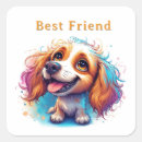 Search for expressive eyes Pet