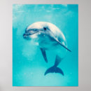 Search for cute dolphin posters Nautical