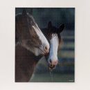 Search for clydesdale horses puzzles Bob langrish