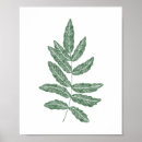 Search for fern leaf posters Minimalist
