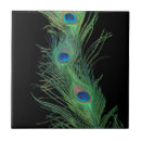 Search for peacock feather tiles Bird