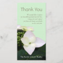 Search for sympathy thank you cards After funeral