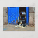 Search for dog waiting postcards Terrier