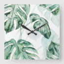 Search for palm leaf clocks Botanical