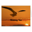 Search for flying birds cards Seagull