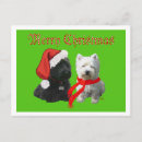 Search for westie dog christmas cards Animals