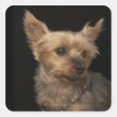 Search for yorkie dog stickers Animal