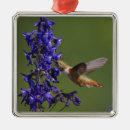 Search for mountains christmas tree decorations United states