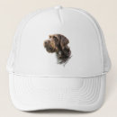 Search for boars hats Hunting