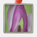 Search for magnolia blossom christmas tree decorations Flower