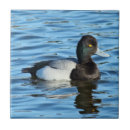 Search for birdwatcher tiles Birds