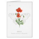 Search for peacock butterfly cards Red