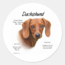 Search for dachshund stickers Long haired dachshund