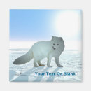 Search for arctic animals magnets Nature