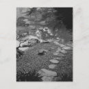 Search for environments postcards Black