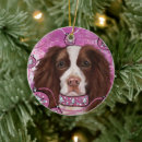 Search for springer spaniel christmas tree decorations Spaniels