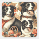 Search for border collie stickers Cute