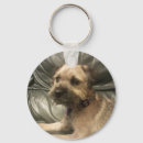 Search for border terriers accessories Cute