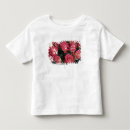 Search for arrangement tshirts Cayambe