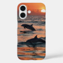 Search for dolphin cases Sea