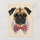 Search for bowtie postcards Animals