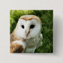 Search for cute barn badges Owl