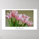 Search for tulipe posters Photography