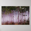 Search for pine trees posters Nature