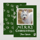 Search for paw print christmas cards Pets