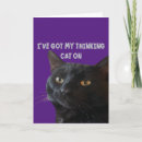 Search for cat meme cards Pun