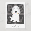 Search for griffon postcards Dog