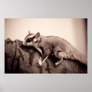 Search for gliders art Photography