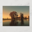 Search for bayou postcards Cajun
